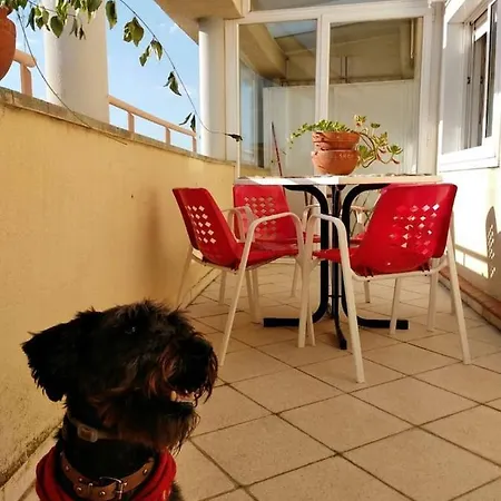 Apartment El Trastero *