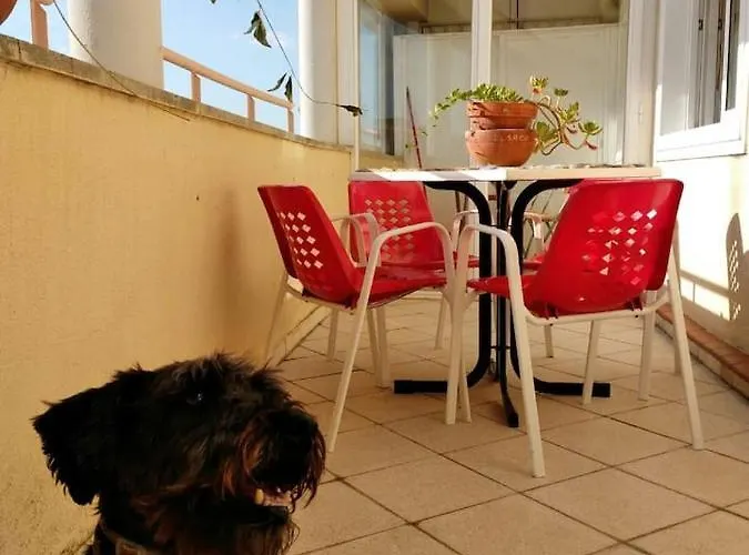 Appartement El Trastero *